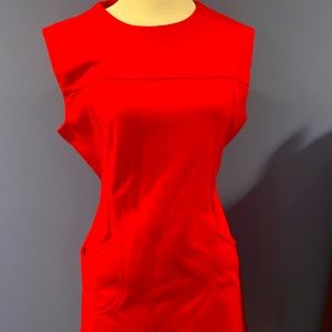 Gorgeous Vtg Red Cinched Waist Shift Dress